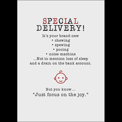 X88 - Special Delivery! Your Brand New Baby ("Focus On The J