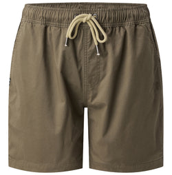 Pilbara men's cotton stretch walk shorts in Capers, front view